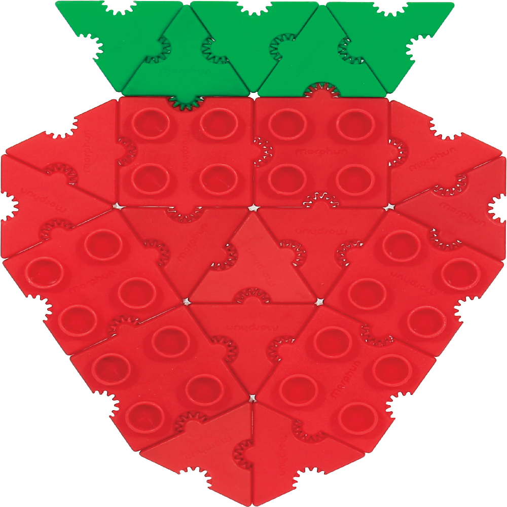 2025 Morphun Basic Junior 300